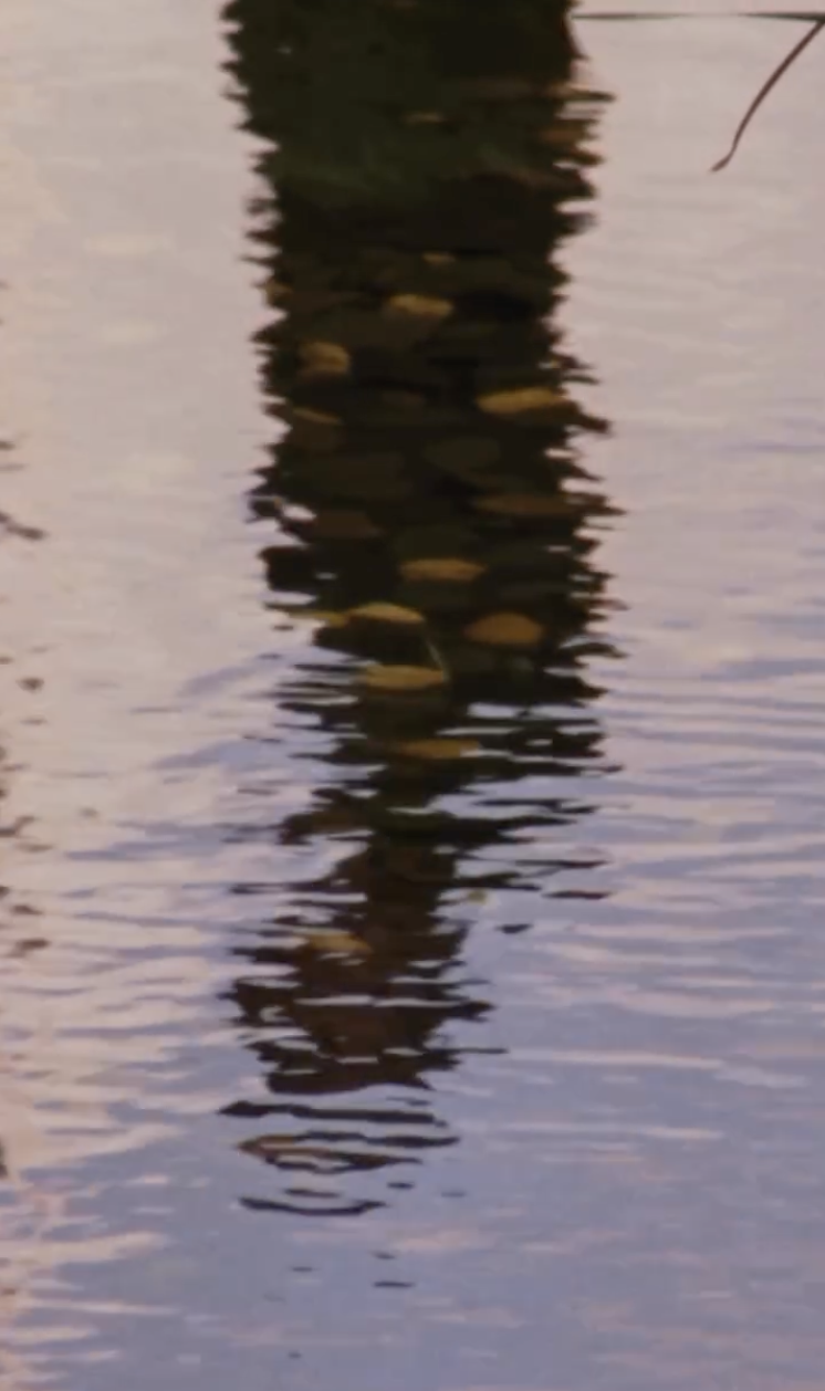 Screenshot 2026-03-02 at 12.57.29.png