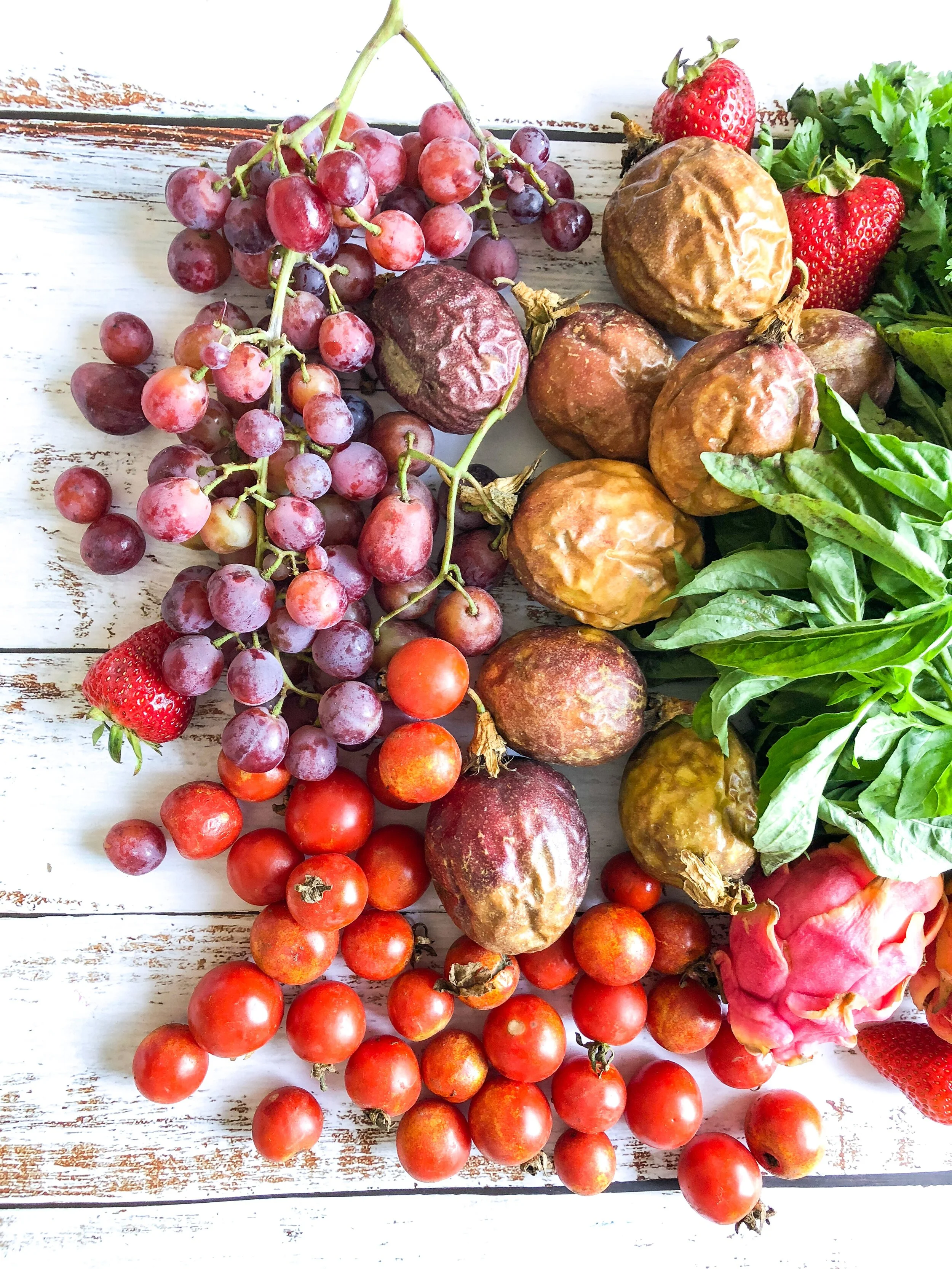 This is How Our Food Choices Directly and Indirectly Affect our Environment (And how to take part in fixing it)