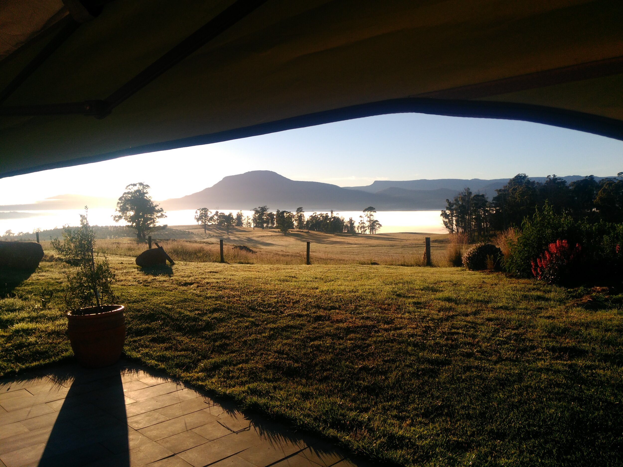 IMG_20201230_062837.jpg