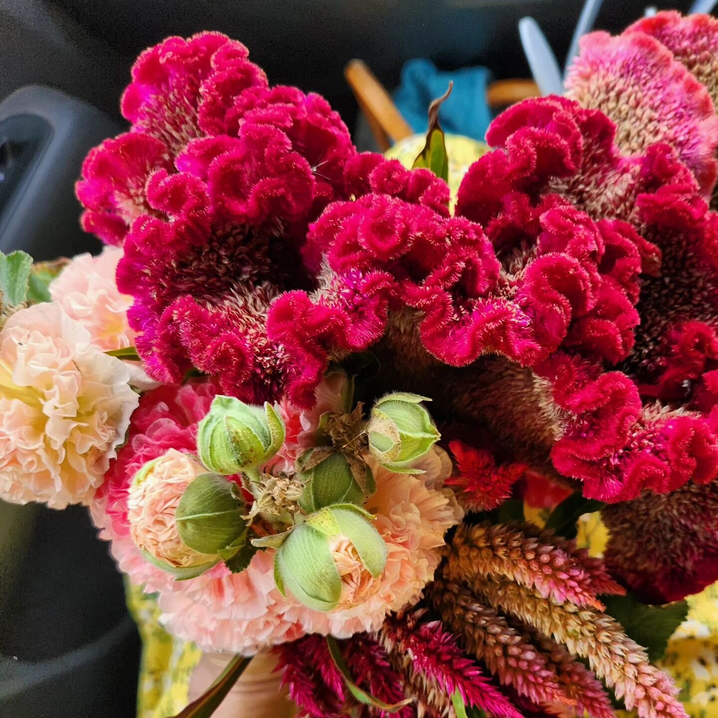 Fresh flowers to decorate the table for our Easter feast! #shelduckfarm 
.
.
#flowers #homegrown #easter #Tasmania #family