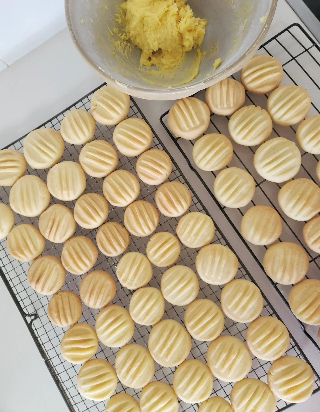 This week's Melting Moments are on the menu from tomorrow, by the river, with the lovely Tess @coffeeatthegarden #shelduckfarm 
.
.
#baking #Deloraine #sweettreats #Tasmania #tasmanian #handmade #smallbusiness