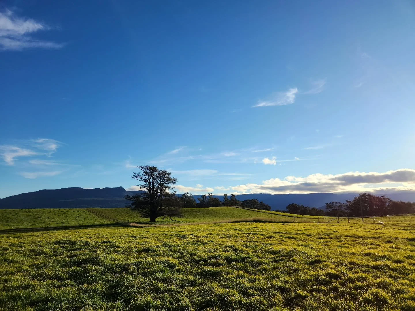 Last light #shelduckfarm 
.
.
#deloraine #greatwesterntiers #Tasmania #tasmanian