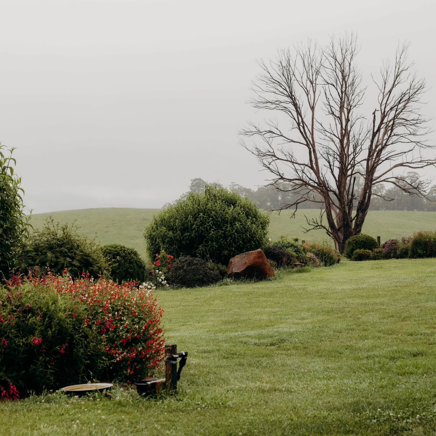What a huge weekend! With the @tascraftfair on, Deloraine has been buzzing. We had a great time and lapped up the sunny weather and enjoyed a cooler day yesterday with rain and mist. A perfectly planned weekend! #shelduckfarm 
.
.
#deloraine #craftfa