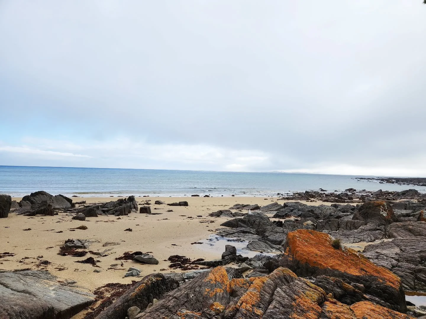 Christmas mode activated! We'll be back in the kitchen in early January. We're enjoying time with friends and family over the next couple of weeks. Thank you to all of our customers, stockists and suppliers for your support this year. Every order has