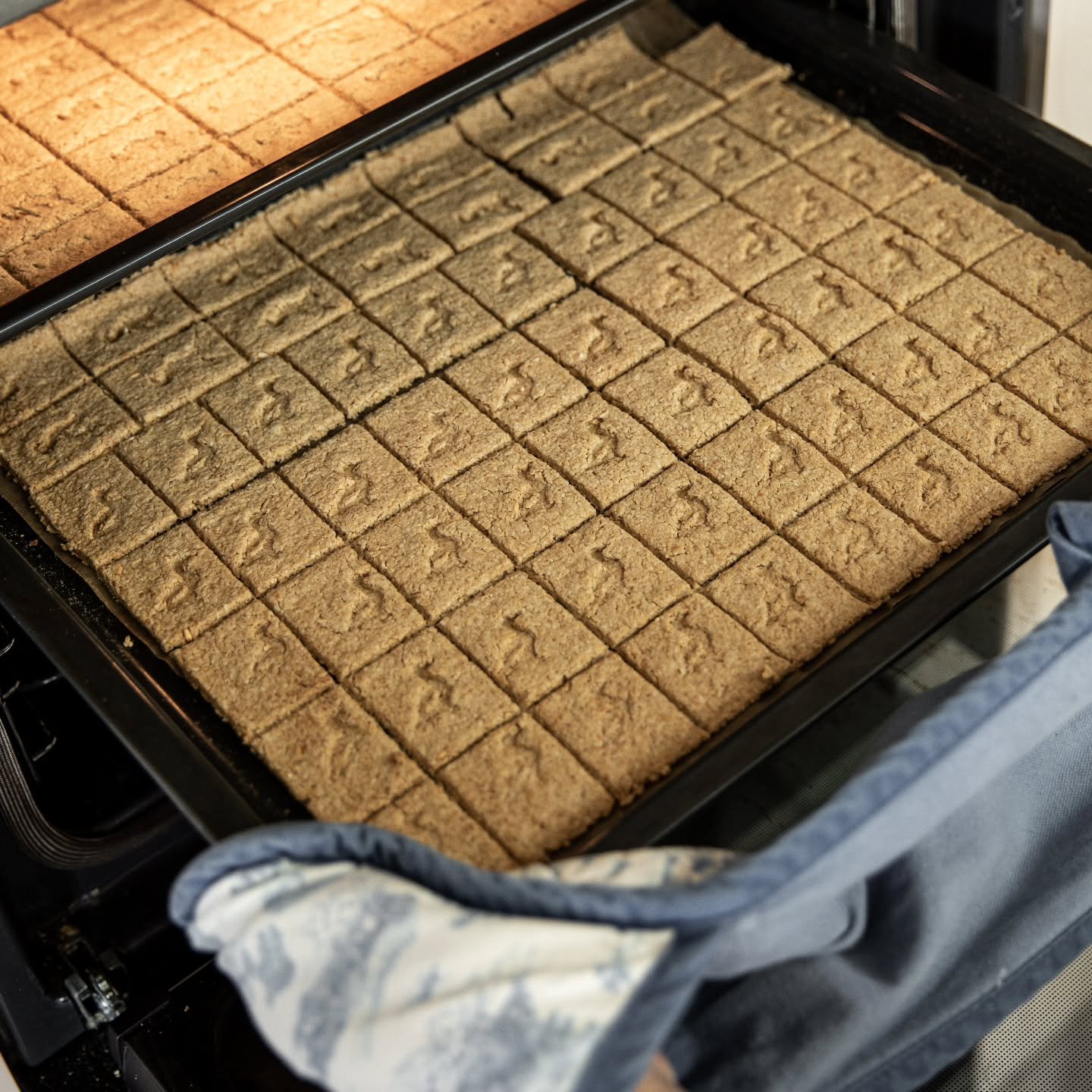 We took a couple of weeks off from oatcake production but we're back into the swing of things this week. Orders will be heading out by the end of the week as I catch up! #shelduckfarm
.
.
#Tasmania #Deloraine #oatcakes #smallbusiness 📷 @ness_vanderb