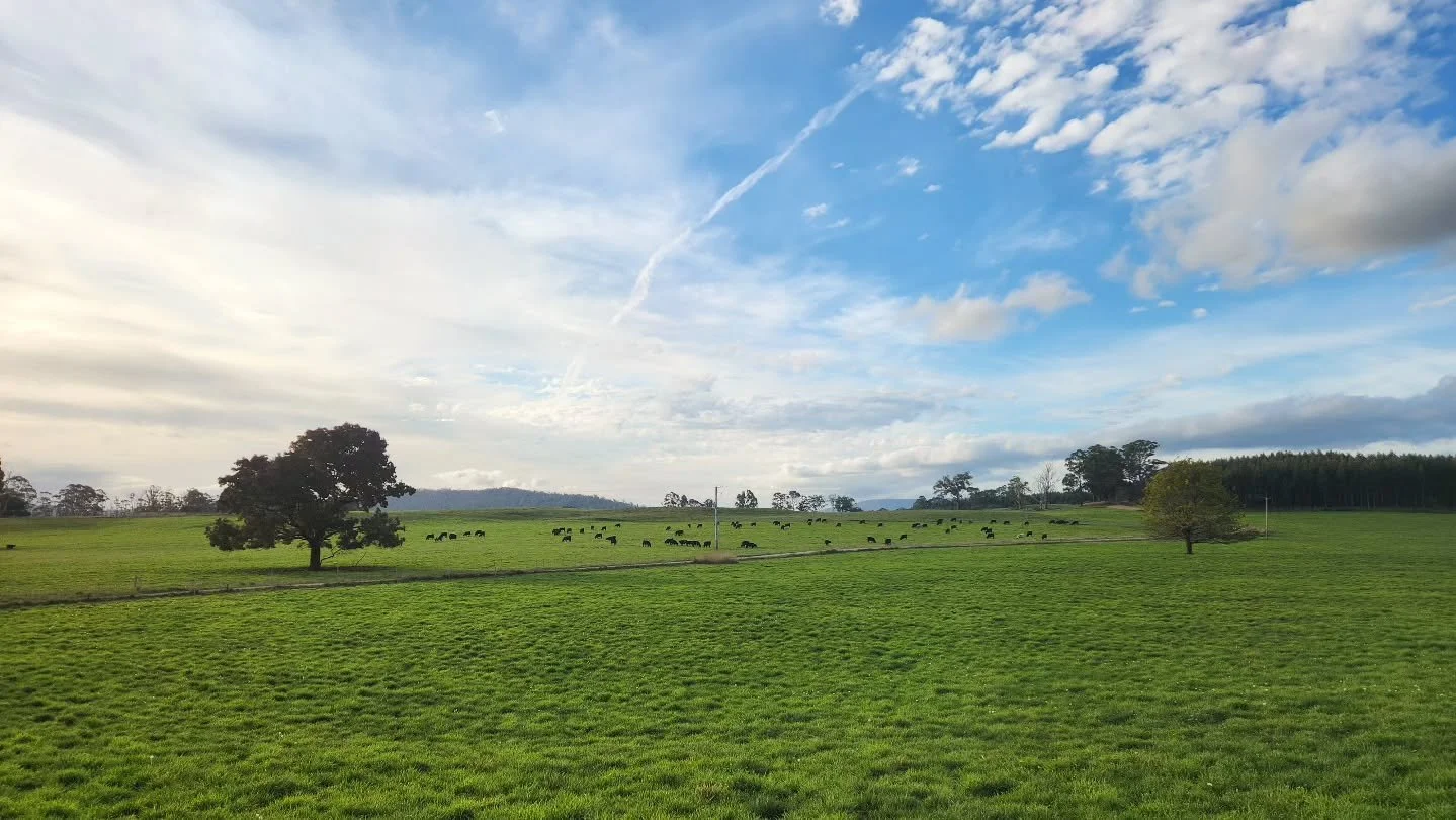 It was another beautiful day today; warm, sunny and a light breeze. We spent the day with family, lapping up the last of the warm weather and taking time to think of those who sacrificed so much for us to be able to do all the things that we take for