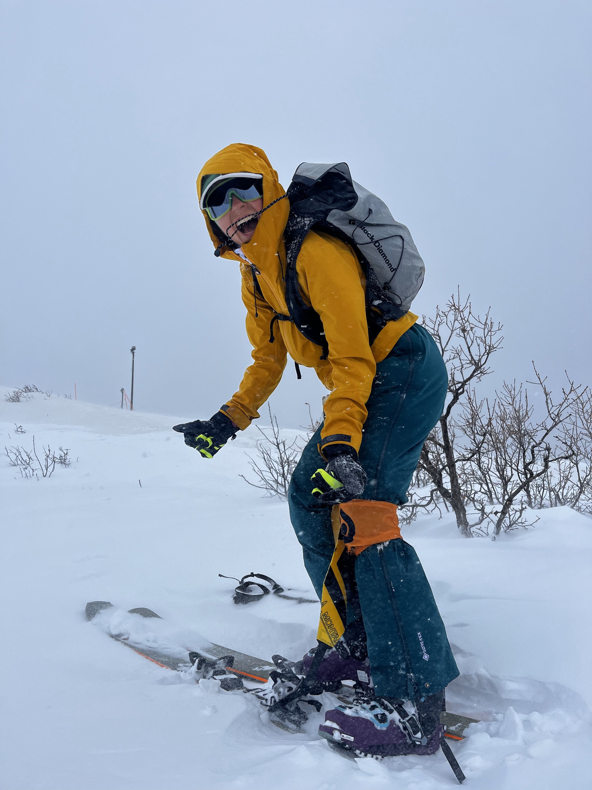 Expedition Here