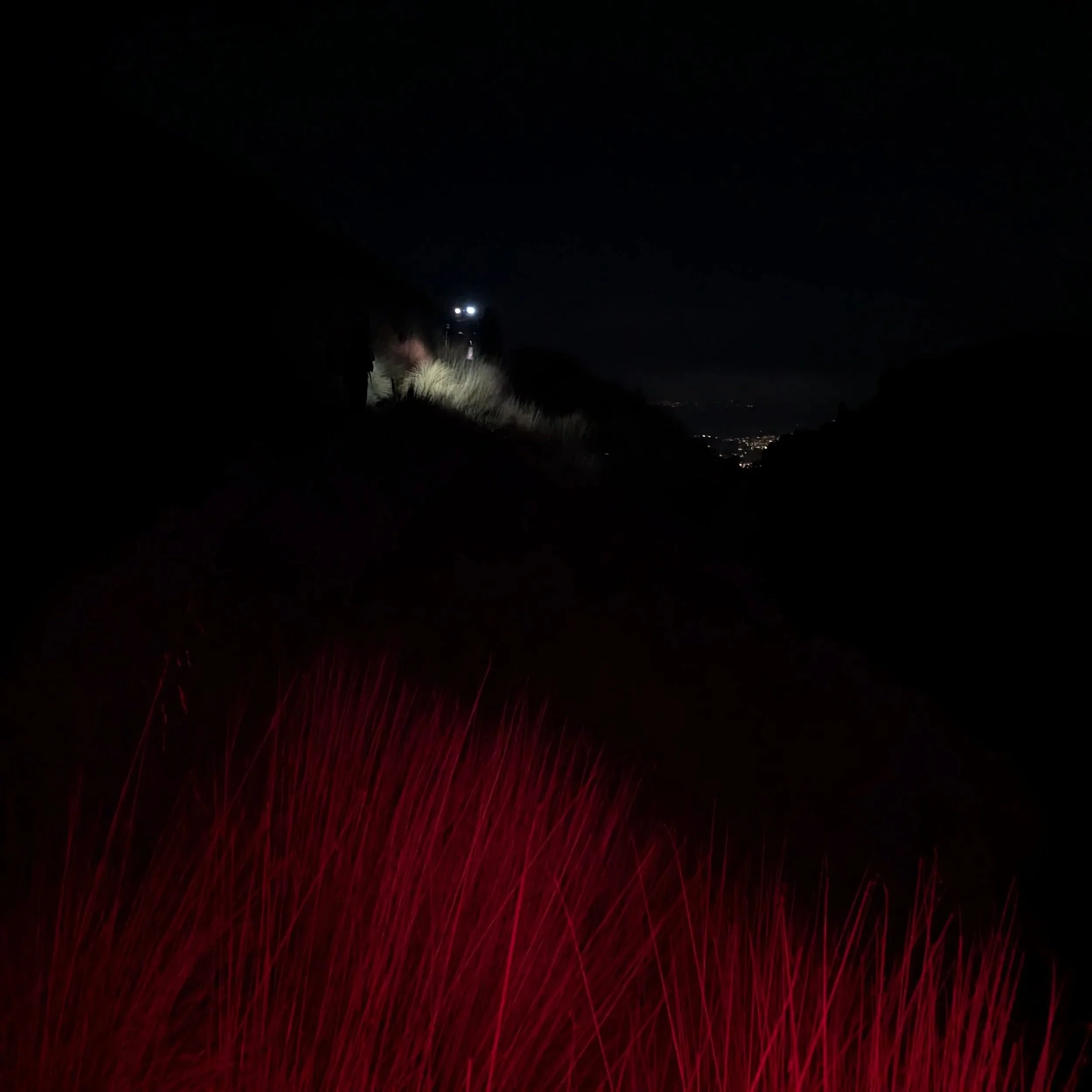 DNF (did not finish)