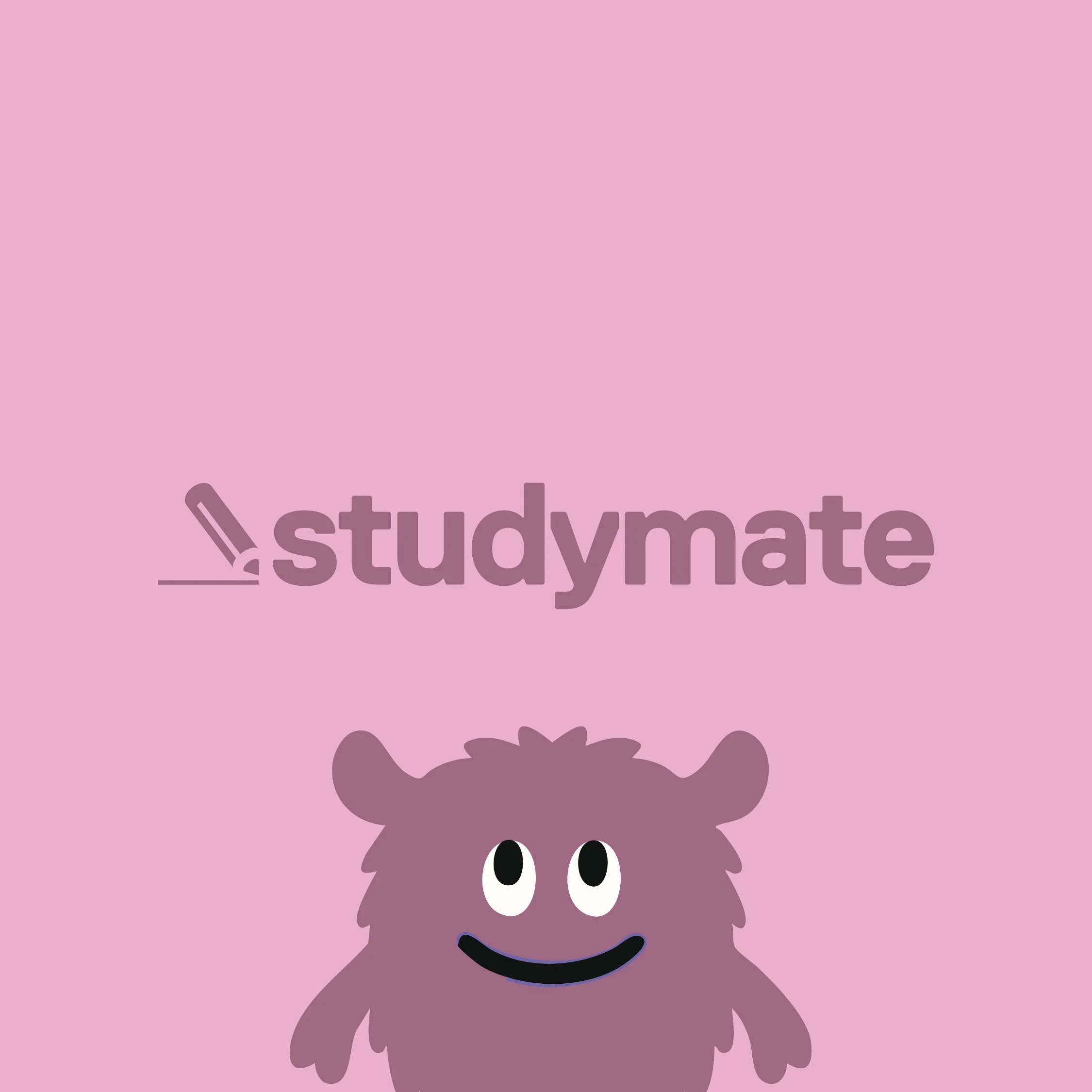 mr-tim-wood-studymate-kids-packaging-identity-design-brand-design-14-01.jpg