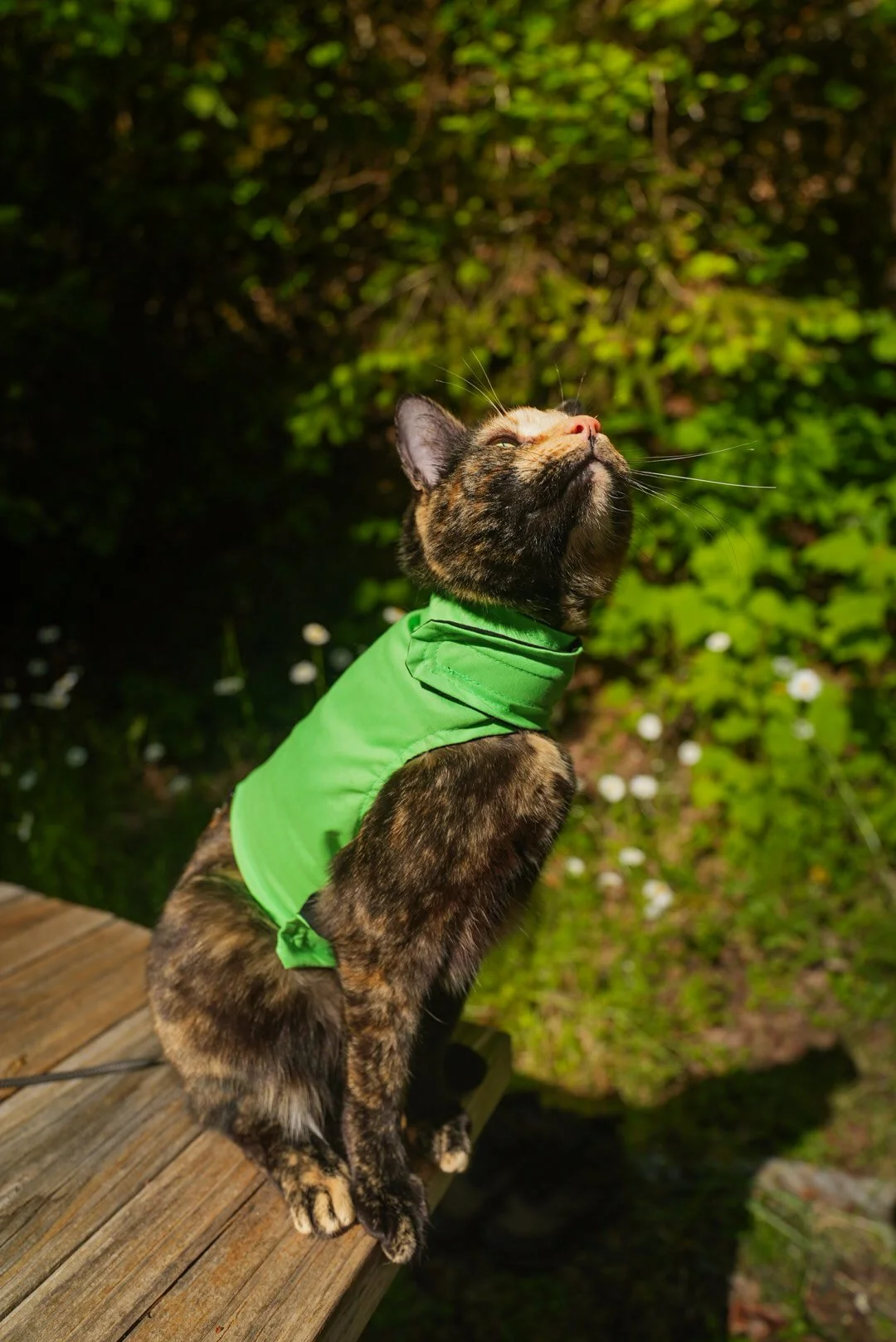 High Vis Green