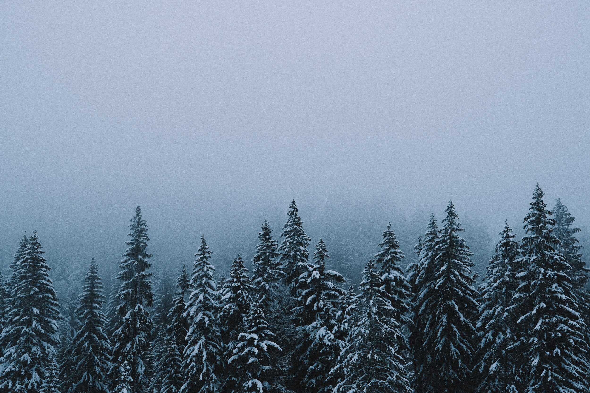 Squamish trails you can enjoy in the winter
