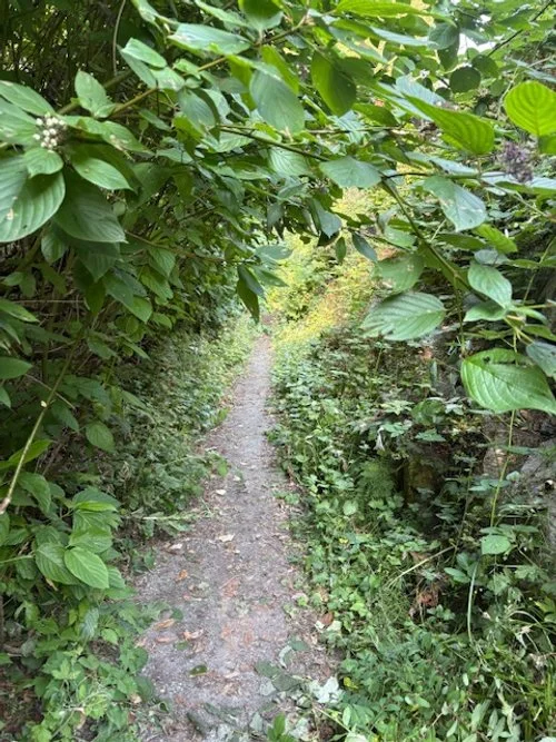 2025 Another Busy Year for Squamish Trails Society