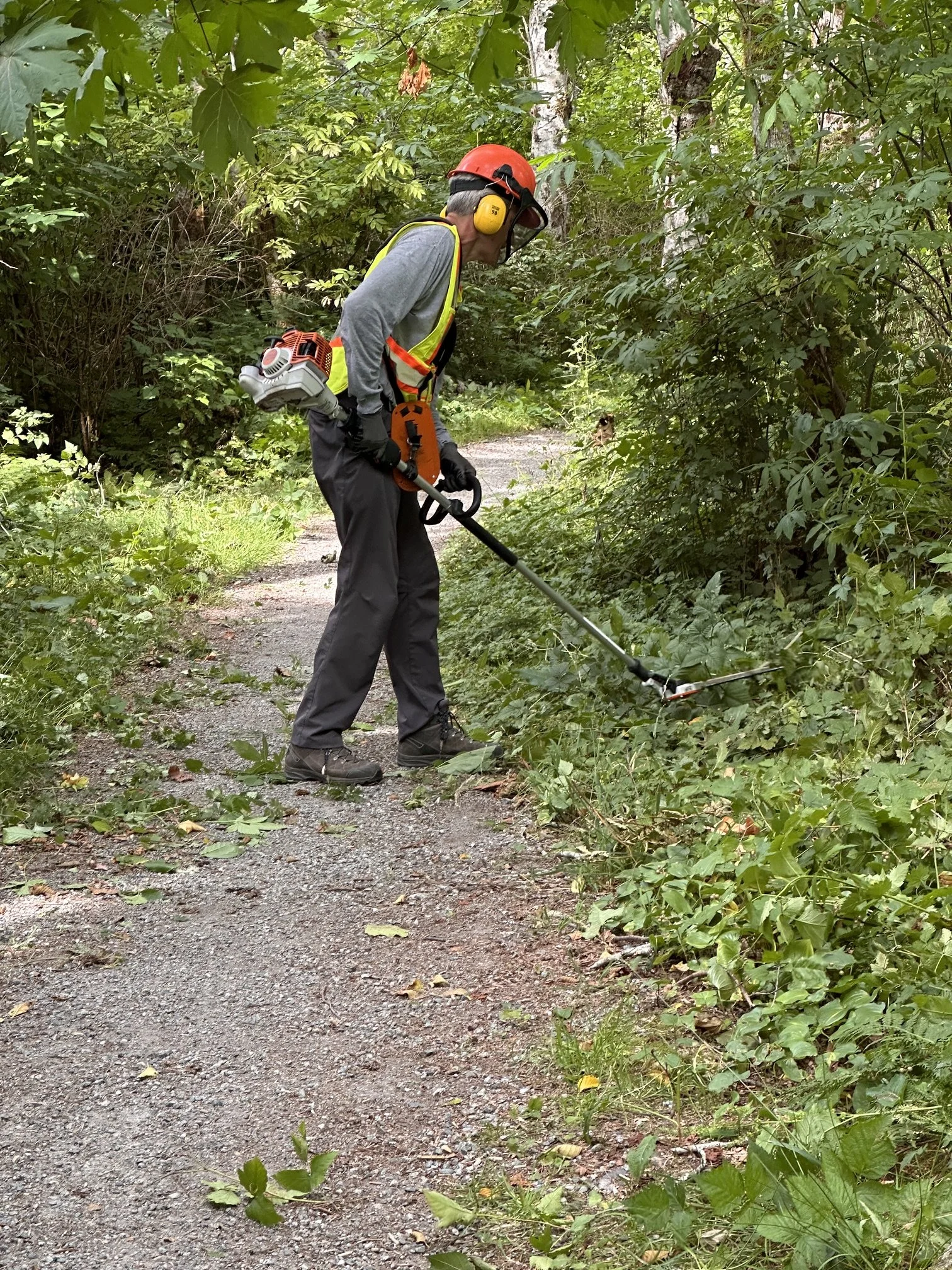 Loggers Creek and Dark Roast Trails