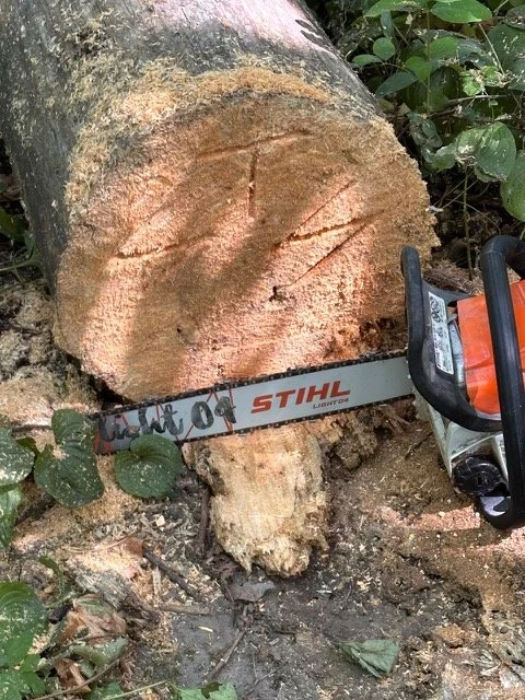 Little Dipper Trail work. 