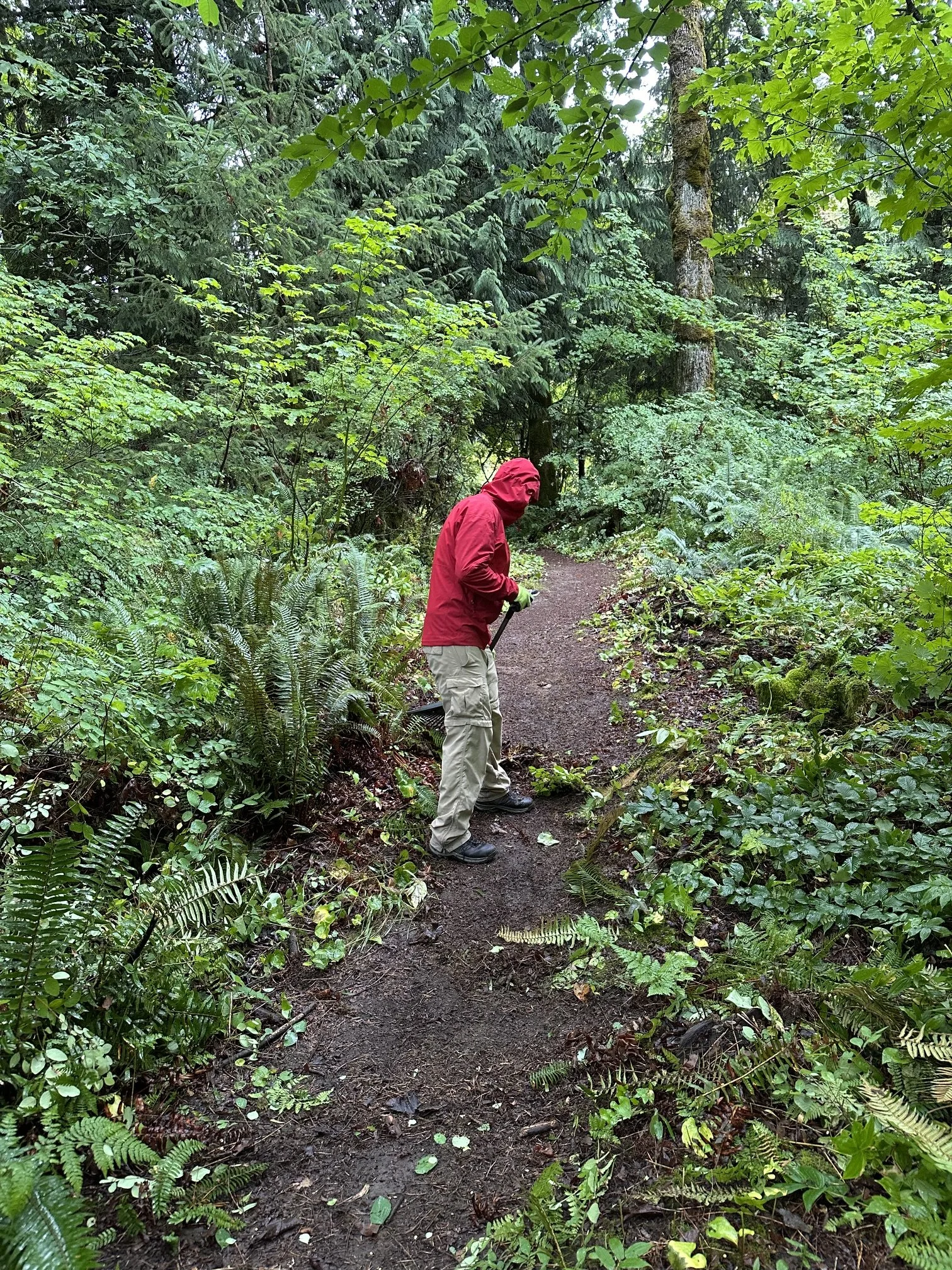 Centennial Trail Work