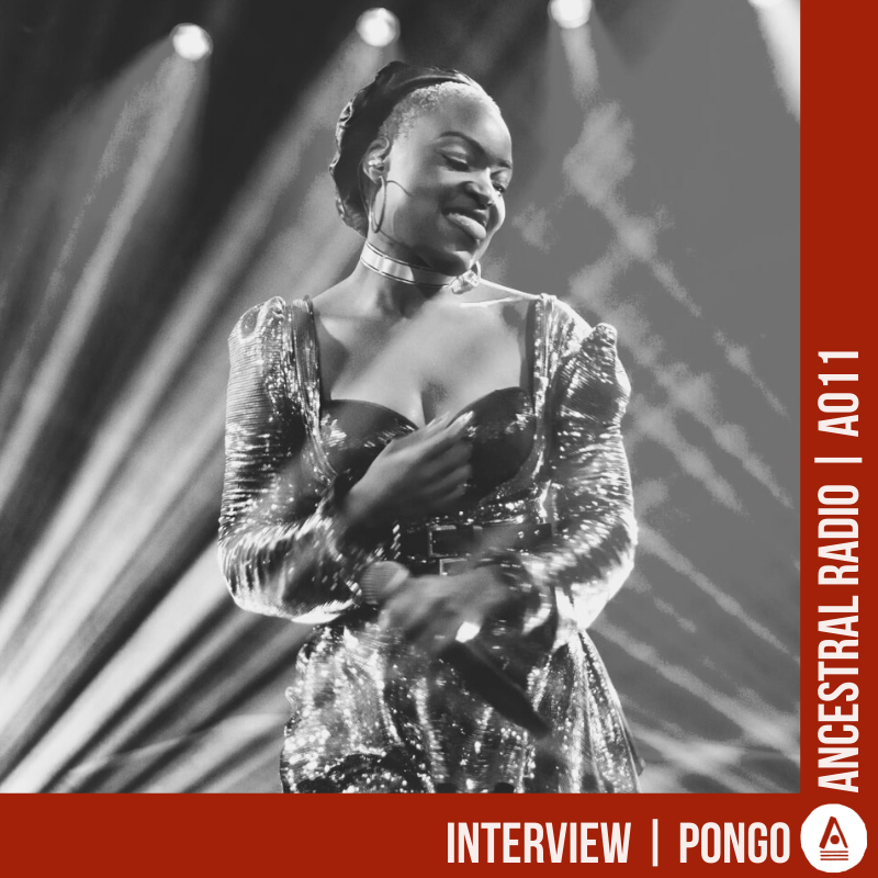 A011 Interview | PONGO