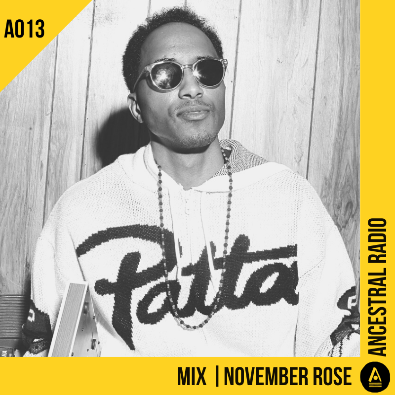 A013 Mix | November Rose