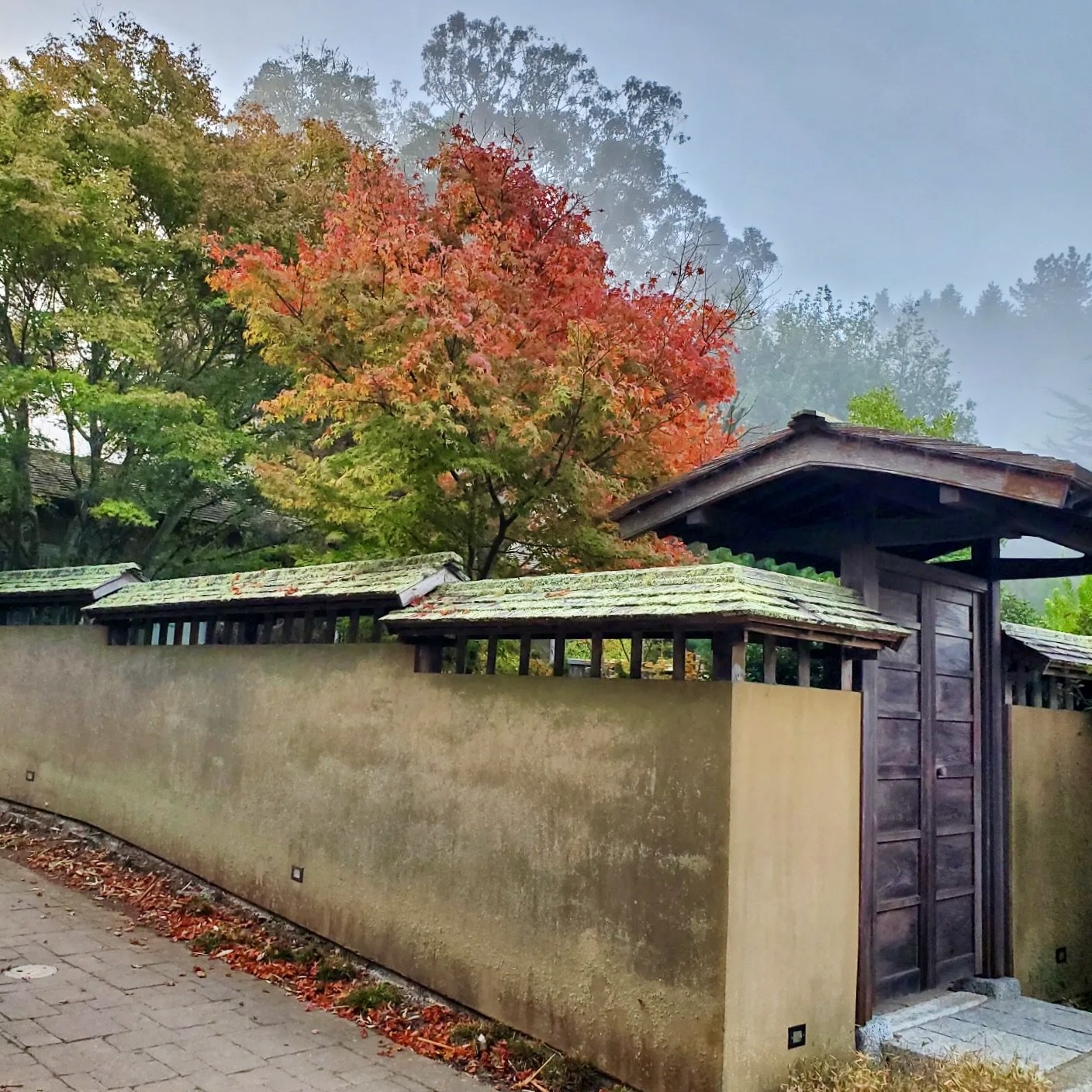 Autumn Mindfulness + Movement Retreat