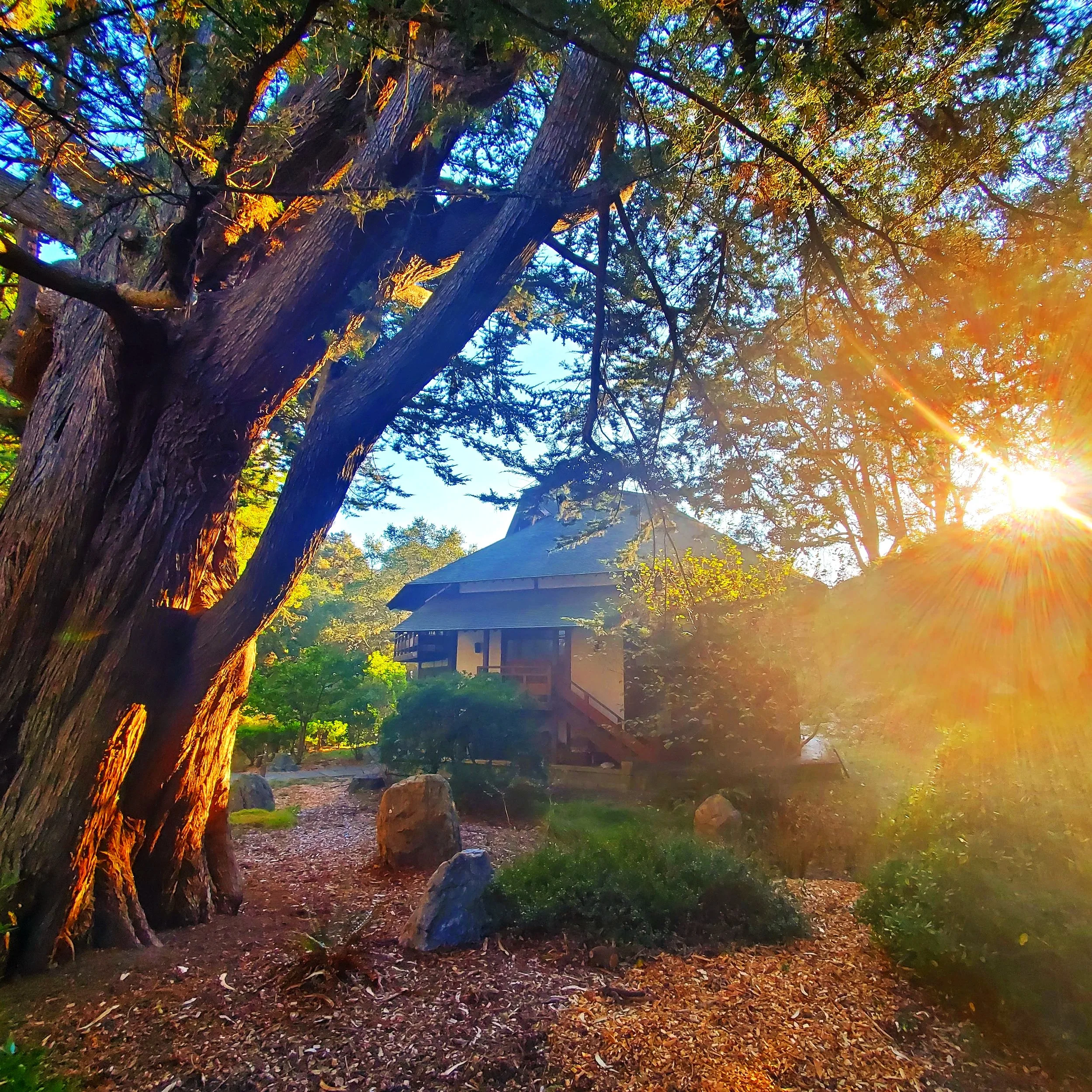 Autumn Mindfulness + Yoga Retreat