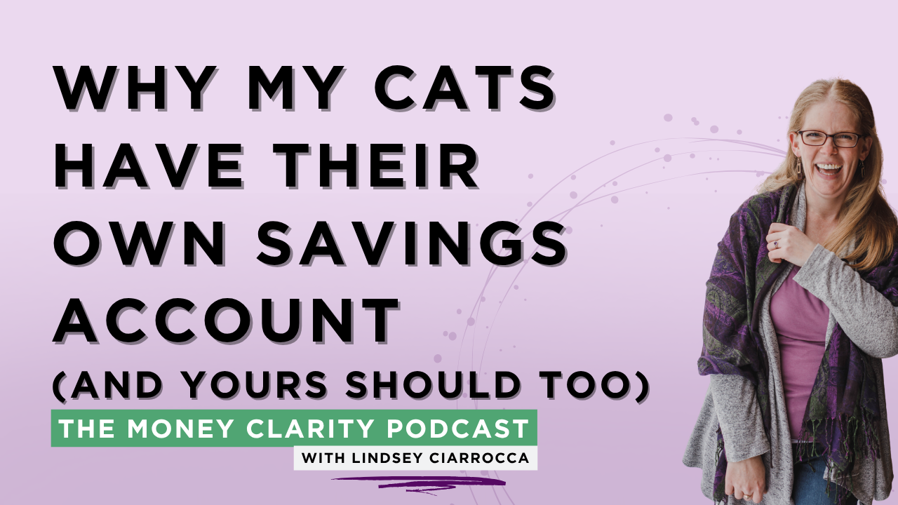 20. Why My Cats Have Their Own Savings Account (And Yours Should Too)