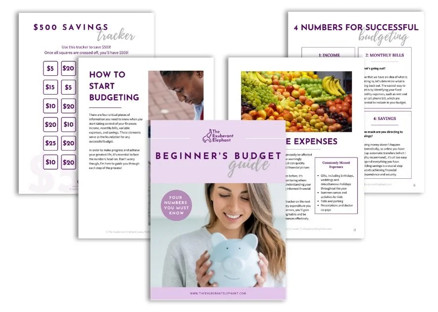 Free Beginner's Budget Guide