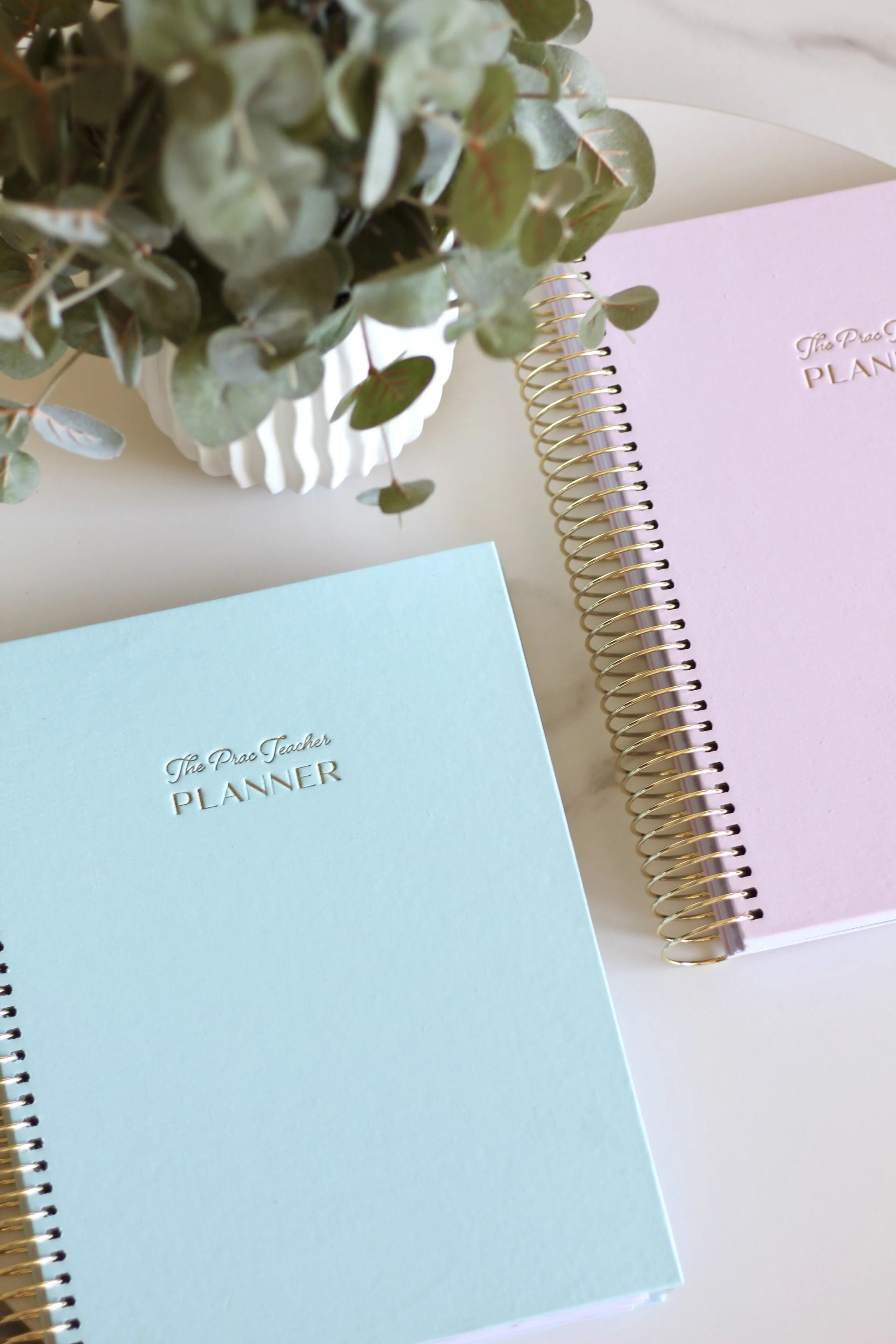 The Daily Planner 2025 Australian Teacher Planners, Diaries & Stationery