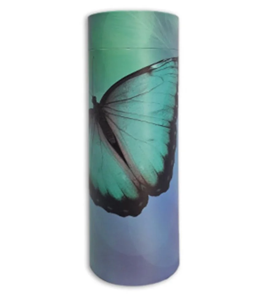 Butterfly Scattering Urn