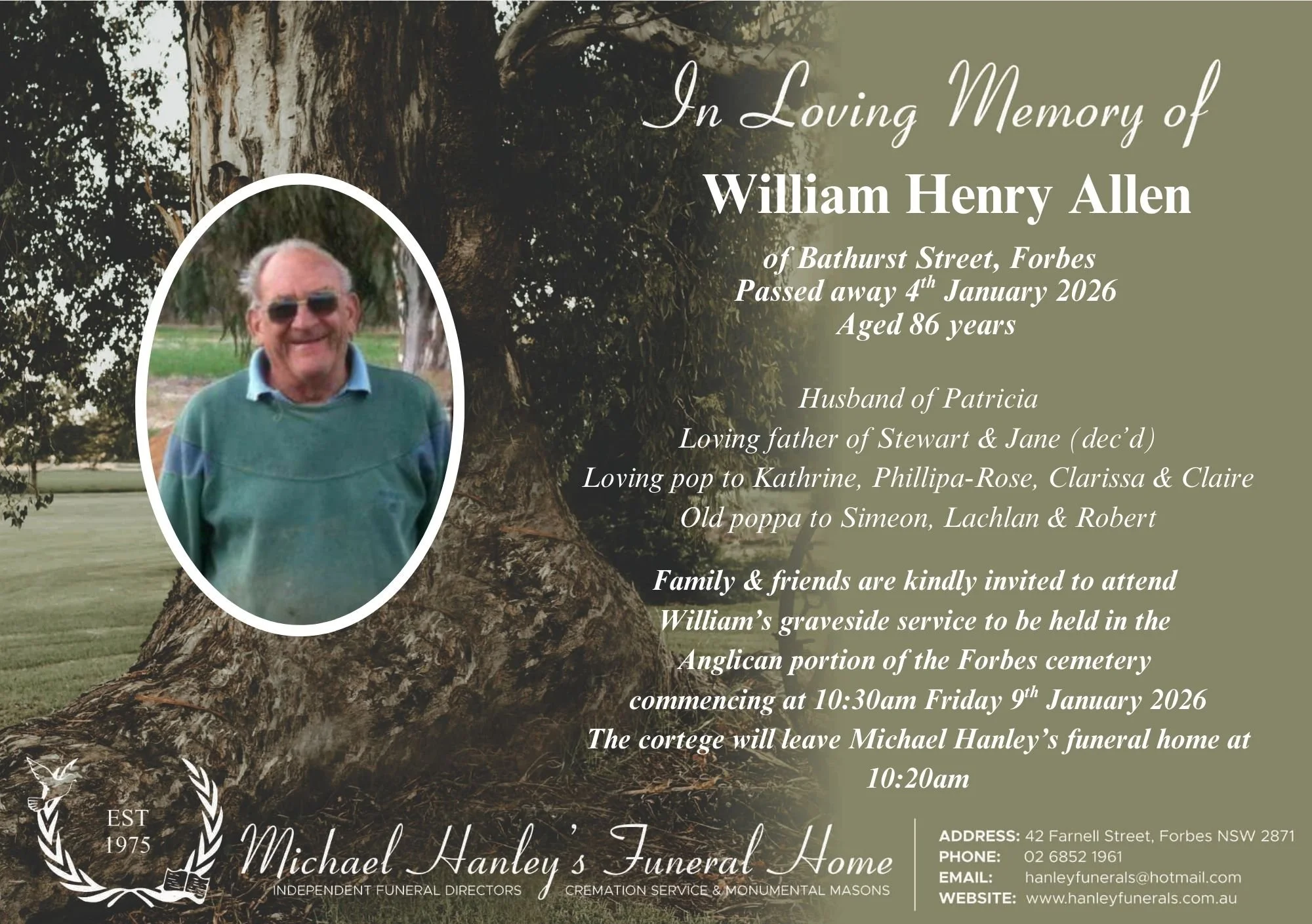 Copy of tree background fb.jpg