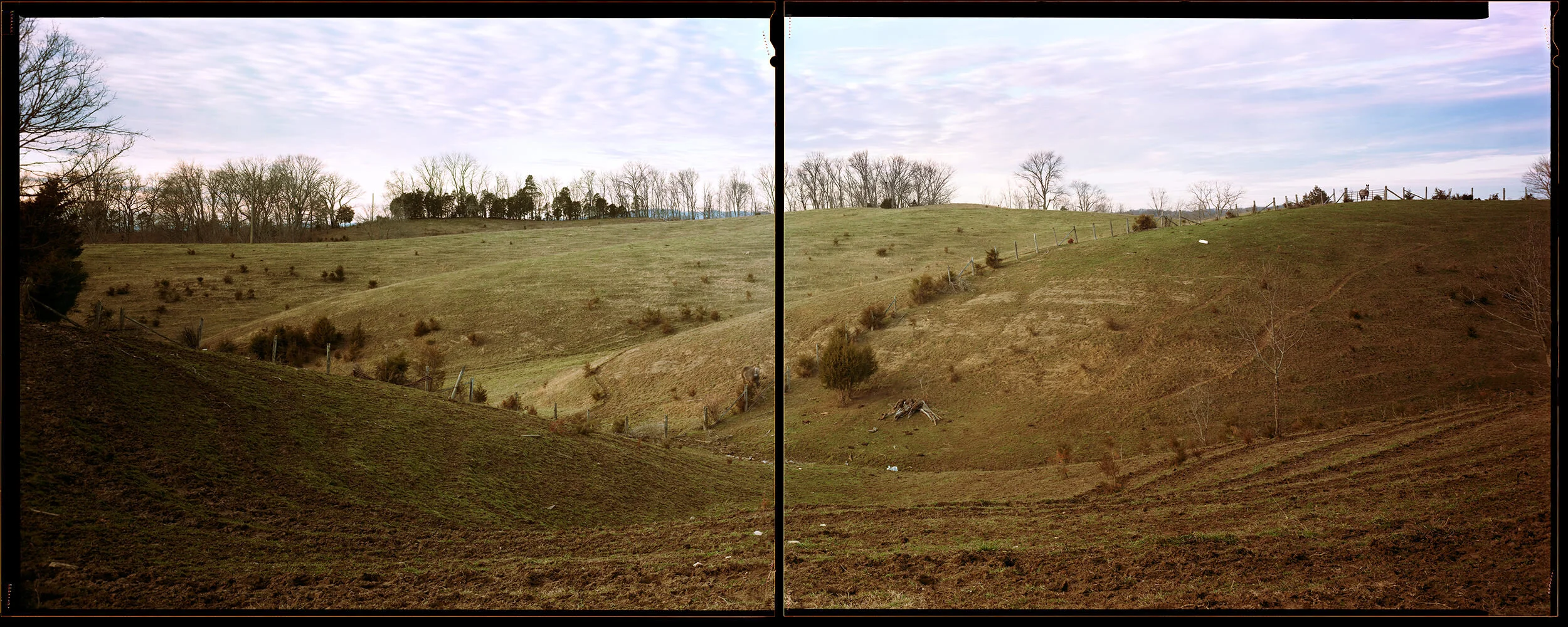 Bulls Gap, Tennessee