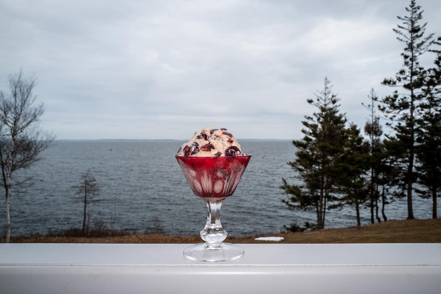 I drove to midcoast Maine this week to pick up a drum scanner and made five ice creams while I was there for some reason. 

as pictured:
1. a homemade version of Cherry Garcia w/ bada bing cherries

2. Maple Bacon 

3. Blackberry, lemon, poppyseed

4