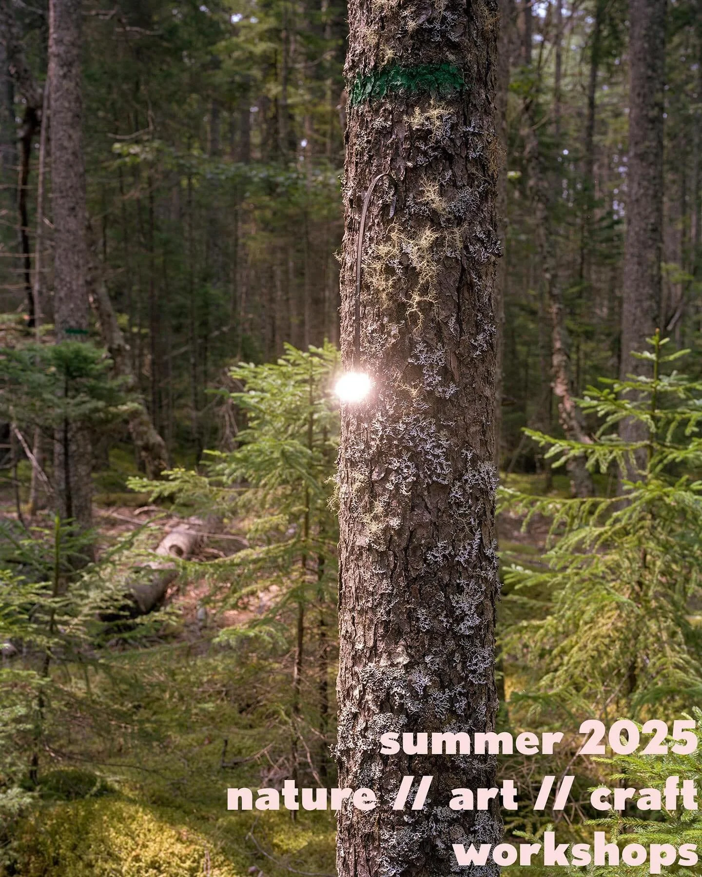 if you, like me, need a break from the noise and destruction to spend some focused time in nature, with art and craft, please join me this summer, either in Acadia National Park or at the Griffin Museum of Photography (or both), for a recentering wor