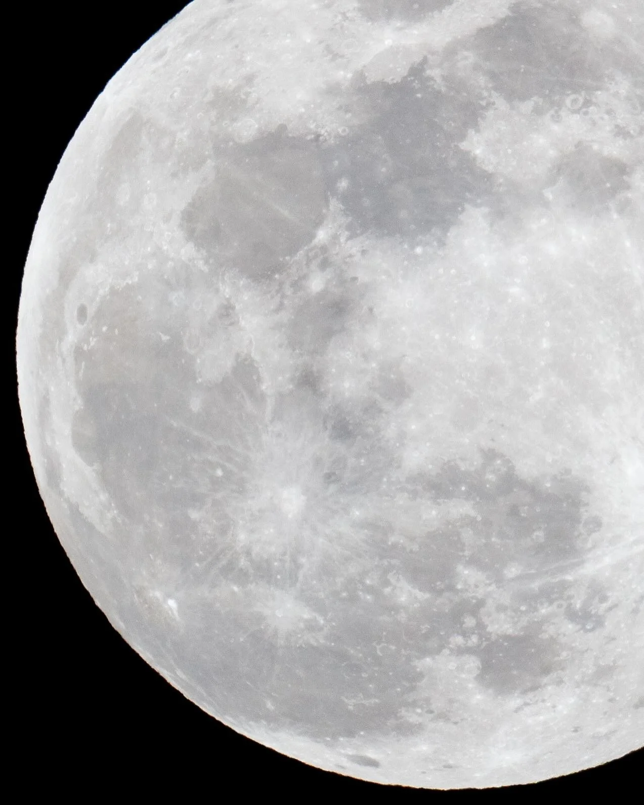 peepin 

#moonlight