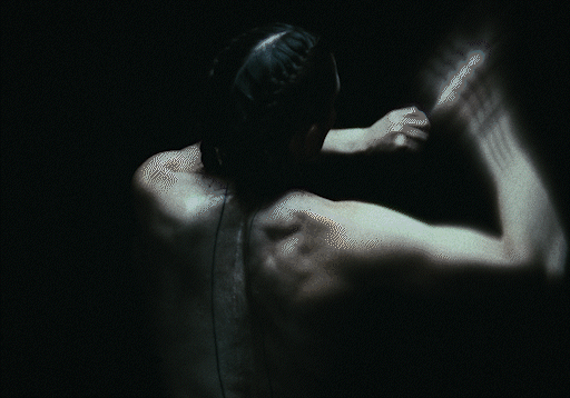 METTLE 7.gif