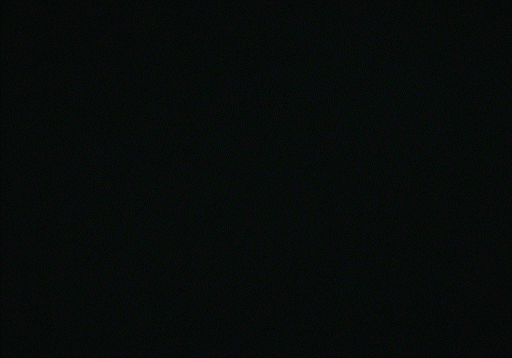 METTLE 6.gif
