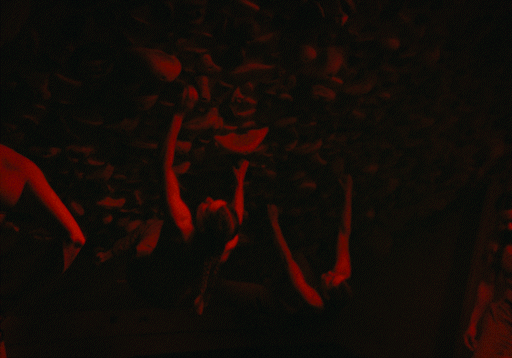 METTLE 3.gif