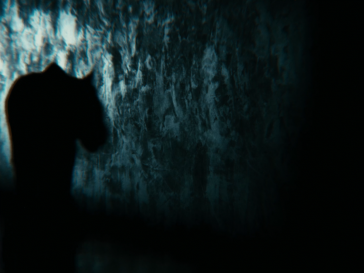 SDR 5.gif