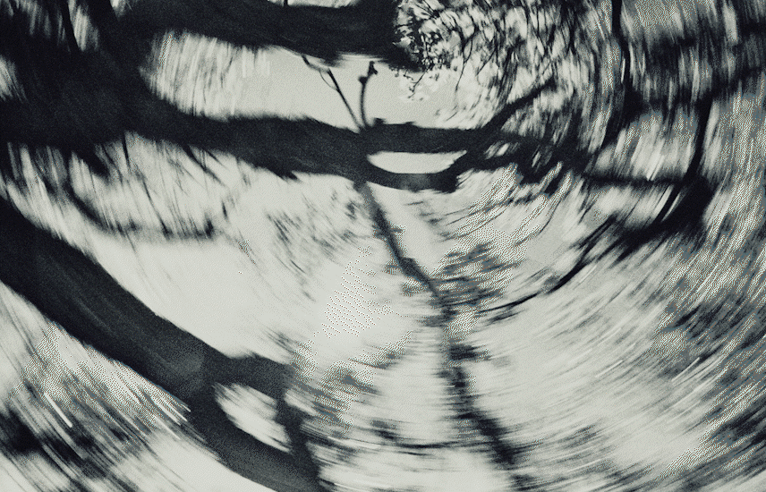 Raide 02.gif