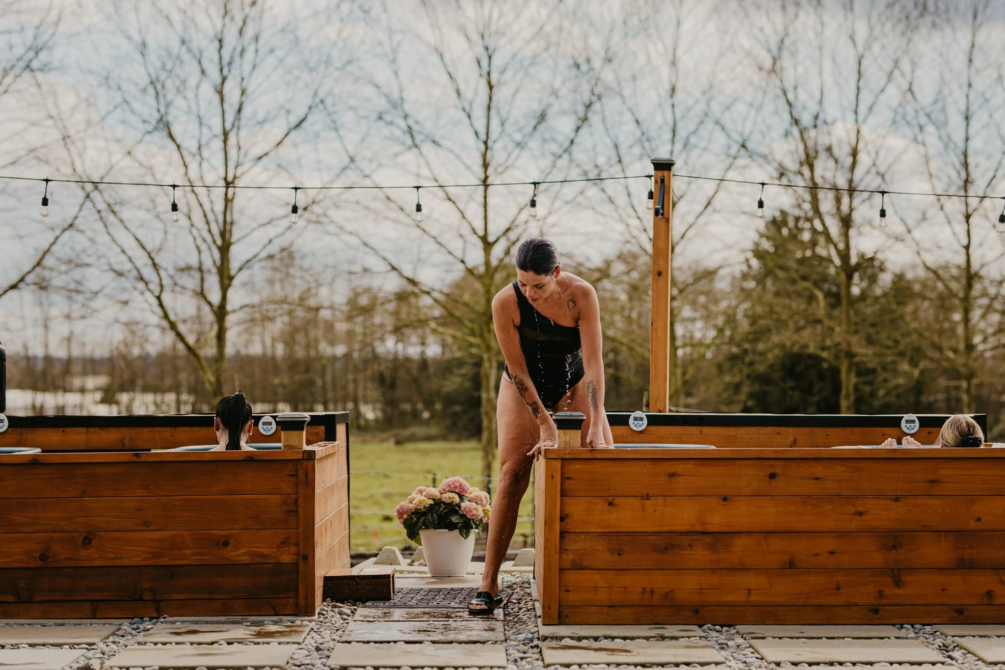 Vineyard Sauna