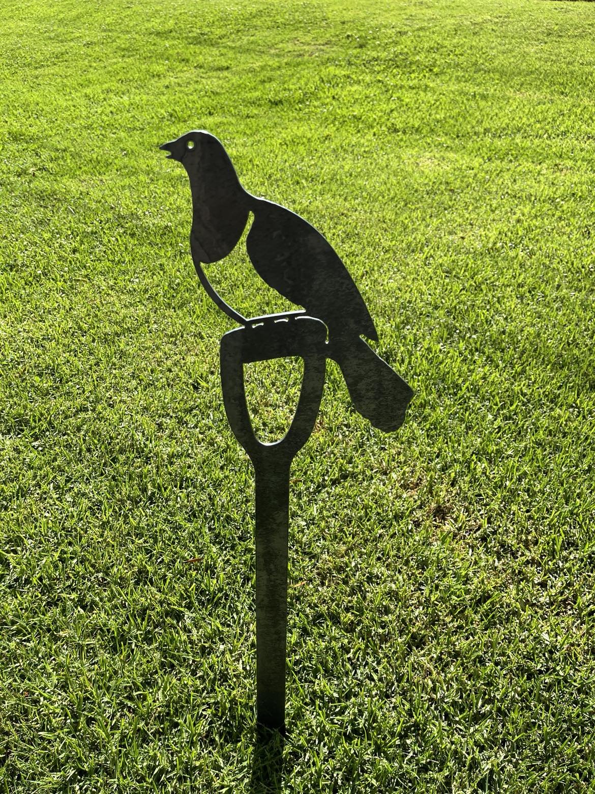 Kereru on spade.jpg