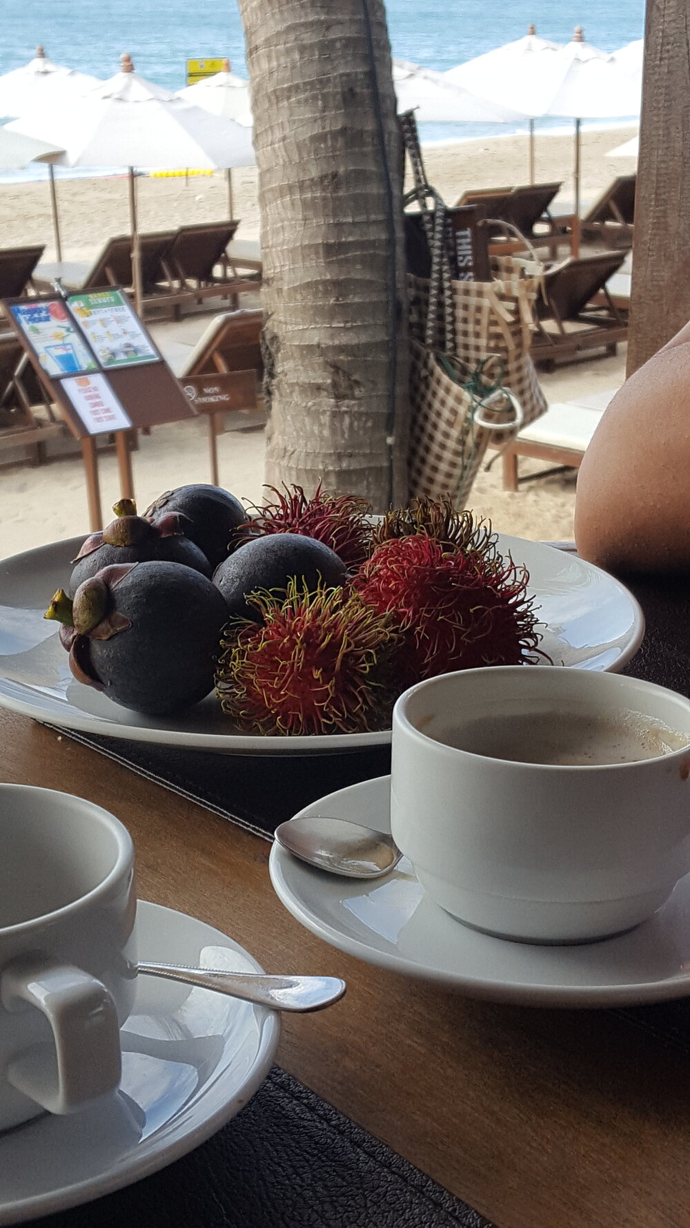 Mangosteens and Rambutans were the fruit of the season