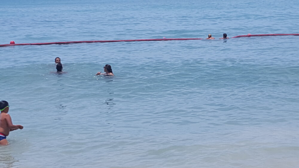 Swimming in the Gulf of Thailand