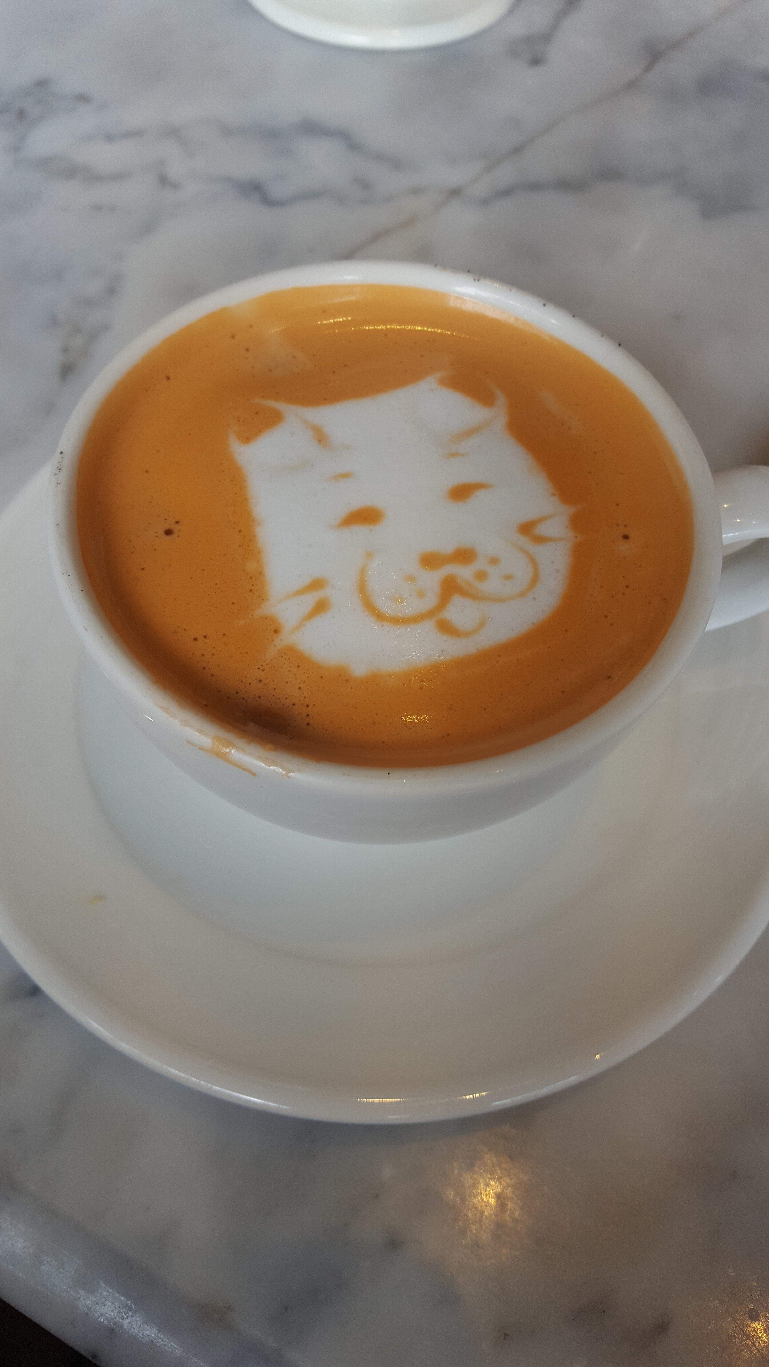 Hot Thai Milk Tea at Elefin Cafe