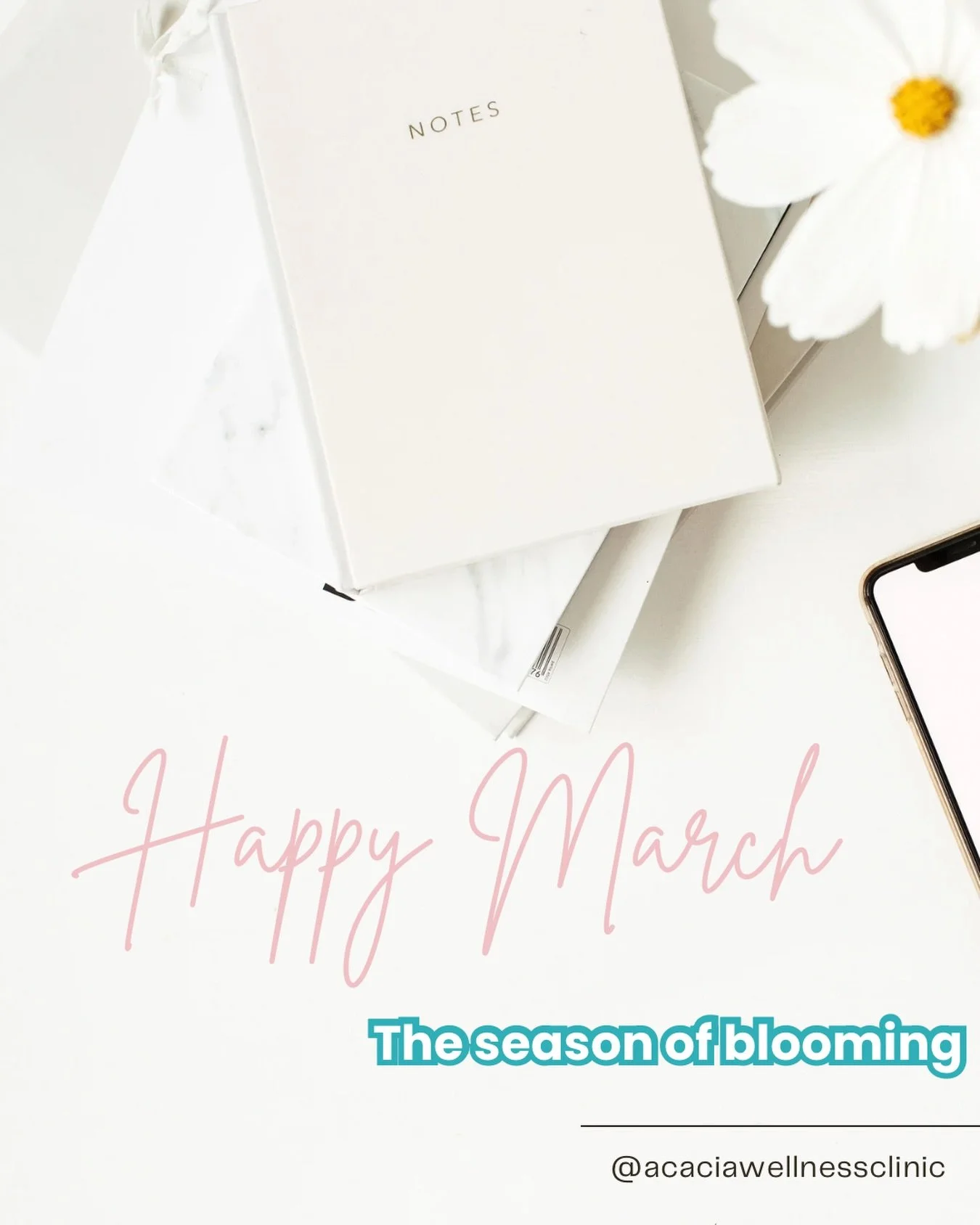And just like that, the first two months of 2026 are behind us! 

March is often associated with the season of blooming because, as we move from cold, dark Winter days toward warmer temperatures and more daylight ☀️, we tend to emerge from &ldquo;hib