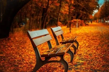 Feeling Low? Is it Major Depression or Seasonal Affective Disorder?
