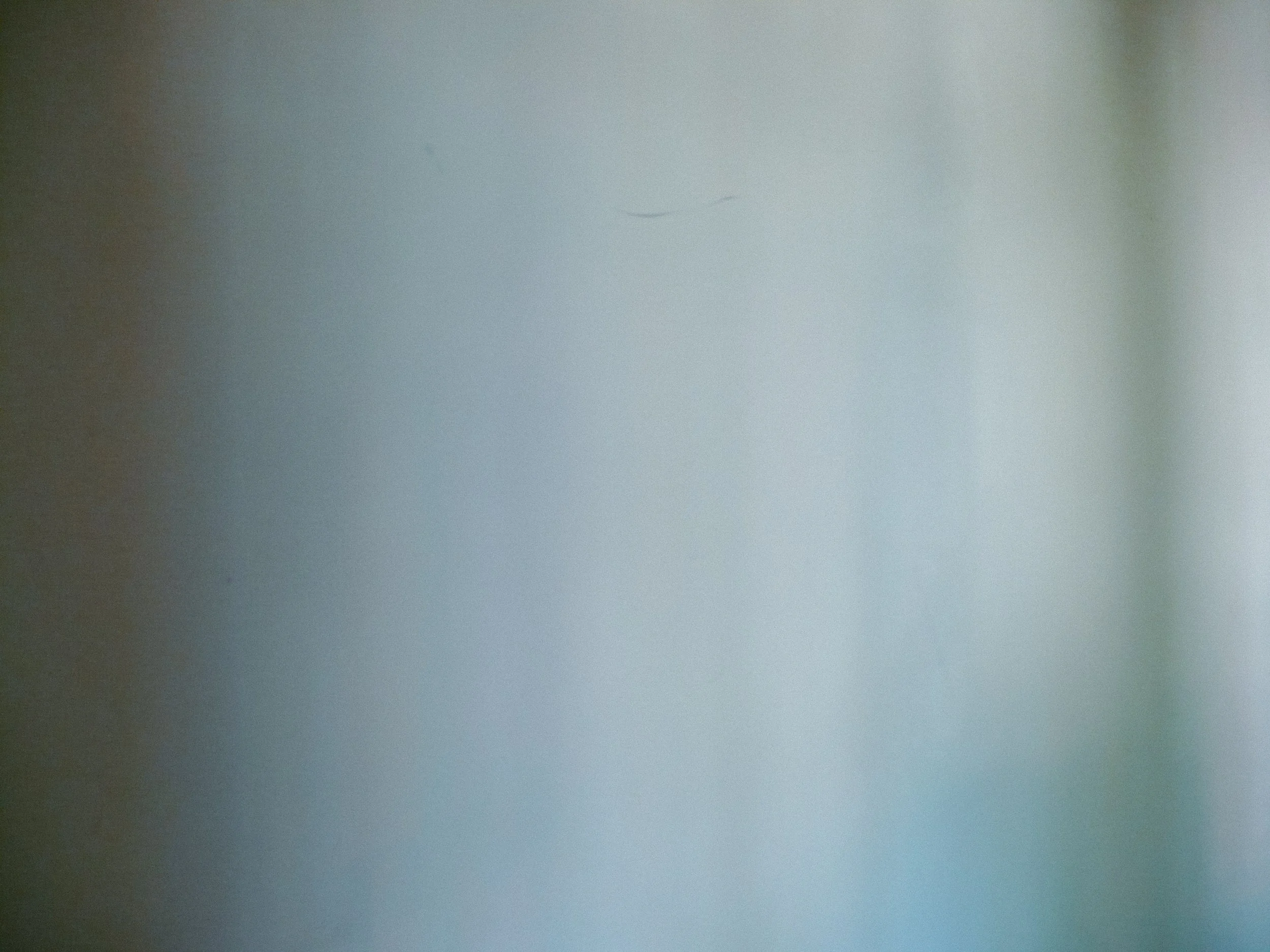 20260530-1010667.jpg
