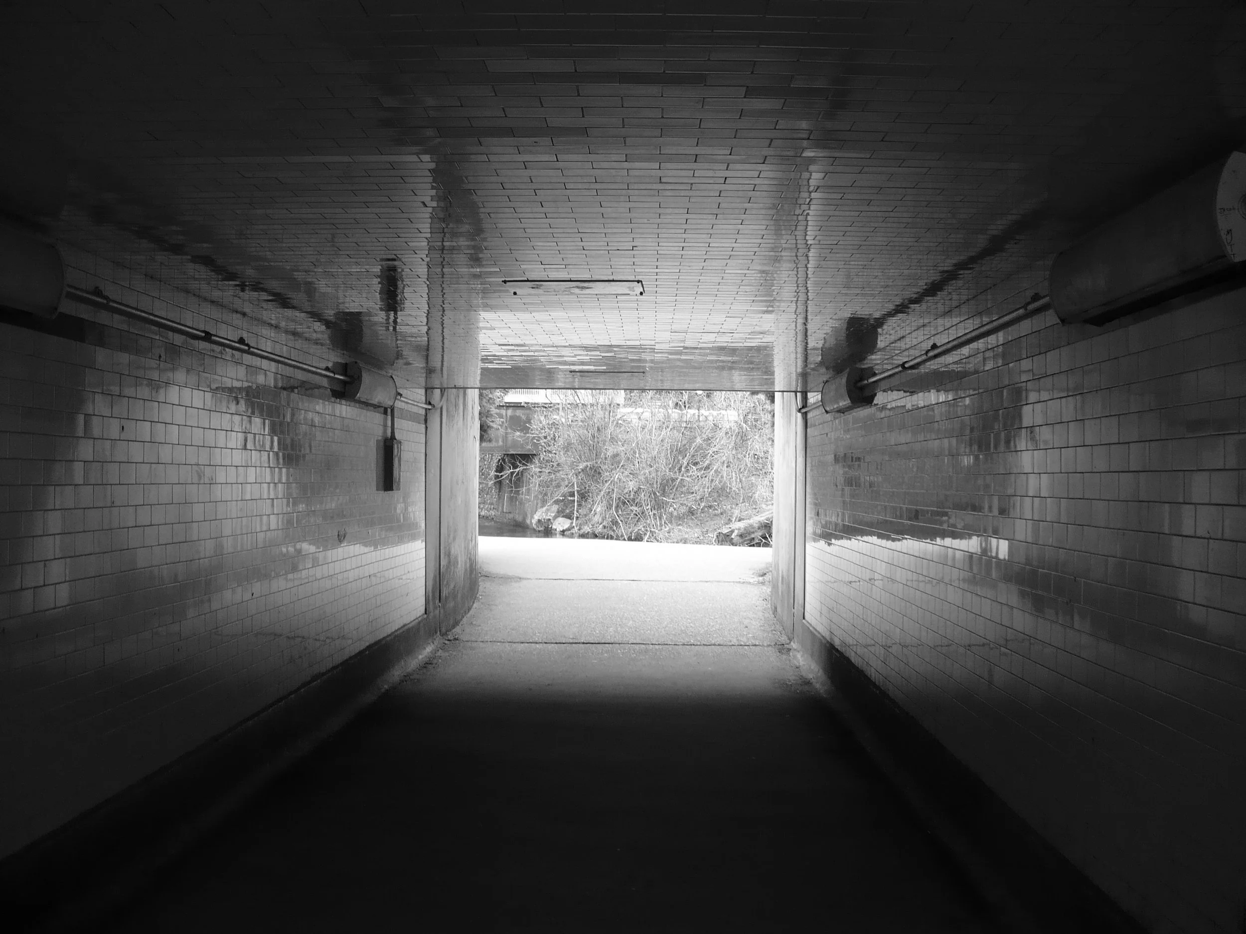 20260318-1010583.jpg