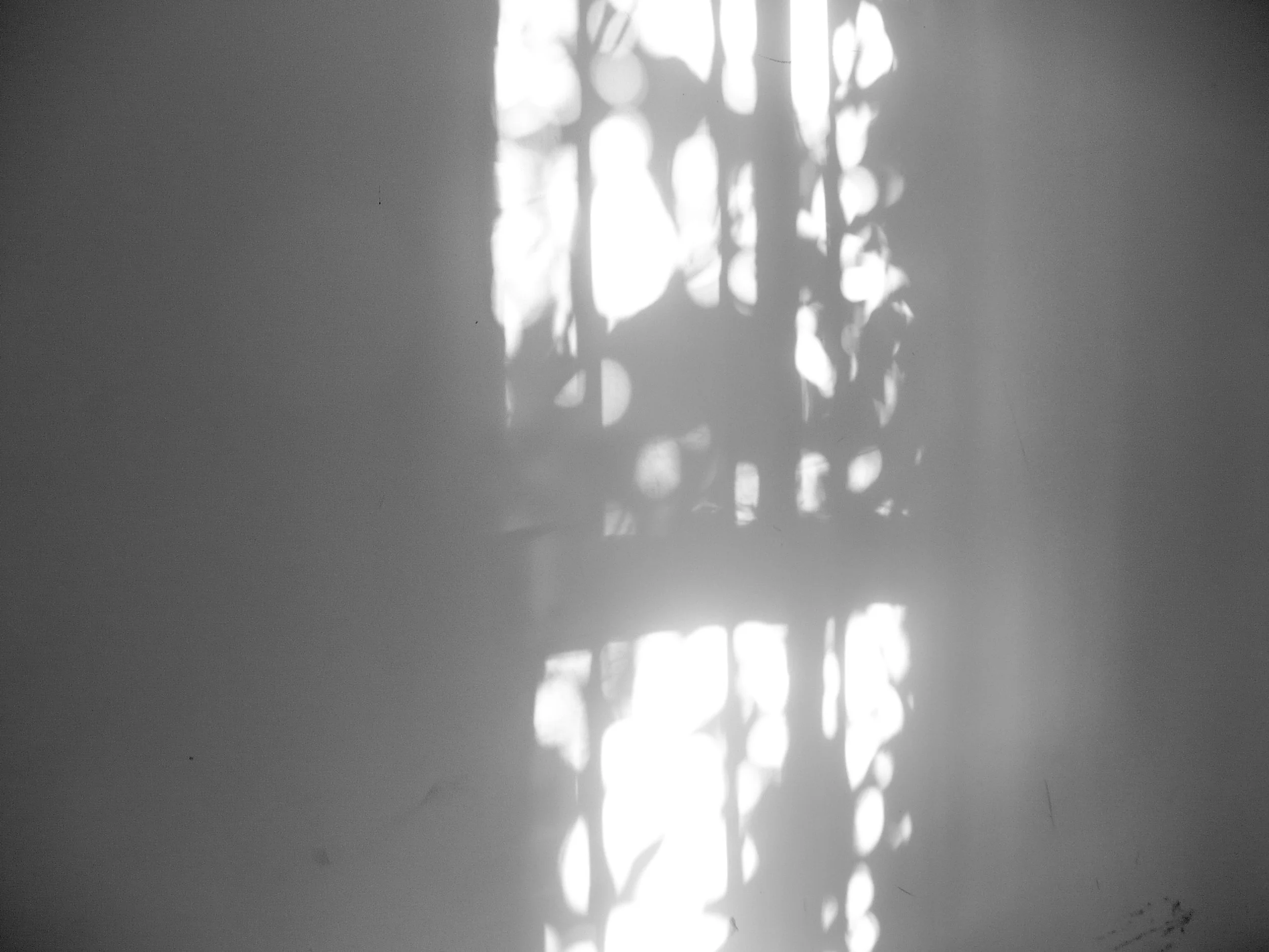 20260528-1010656-2.jpg