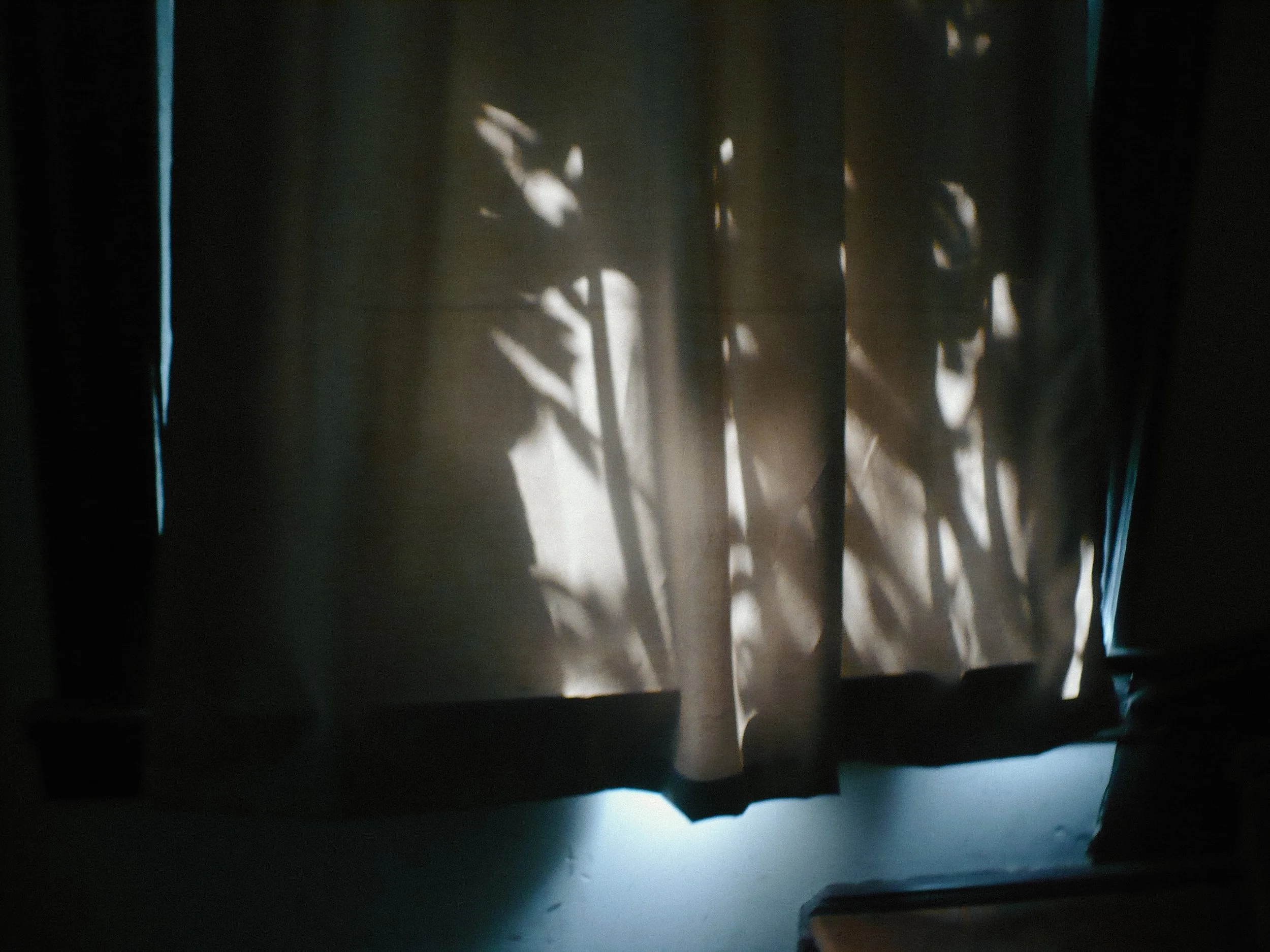 20260531-1010673.jpg