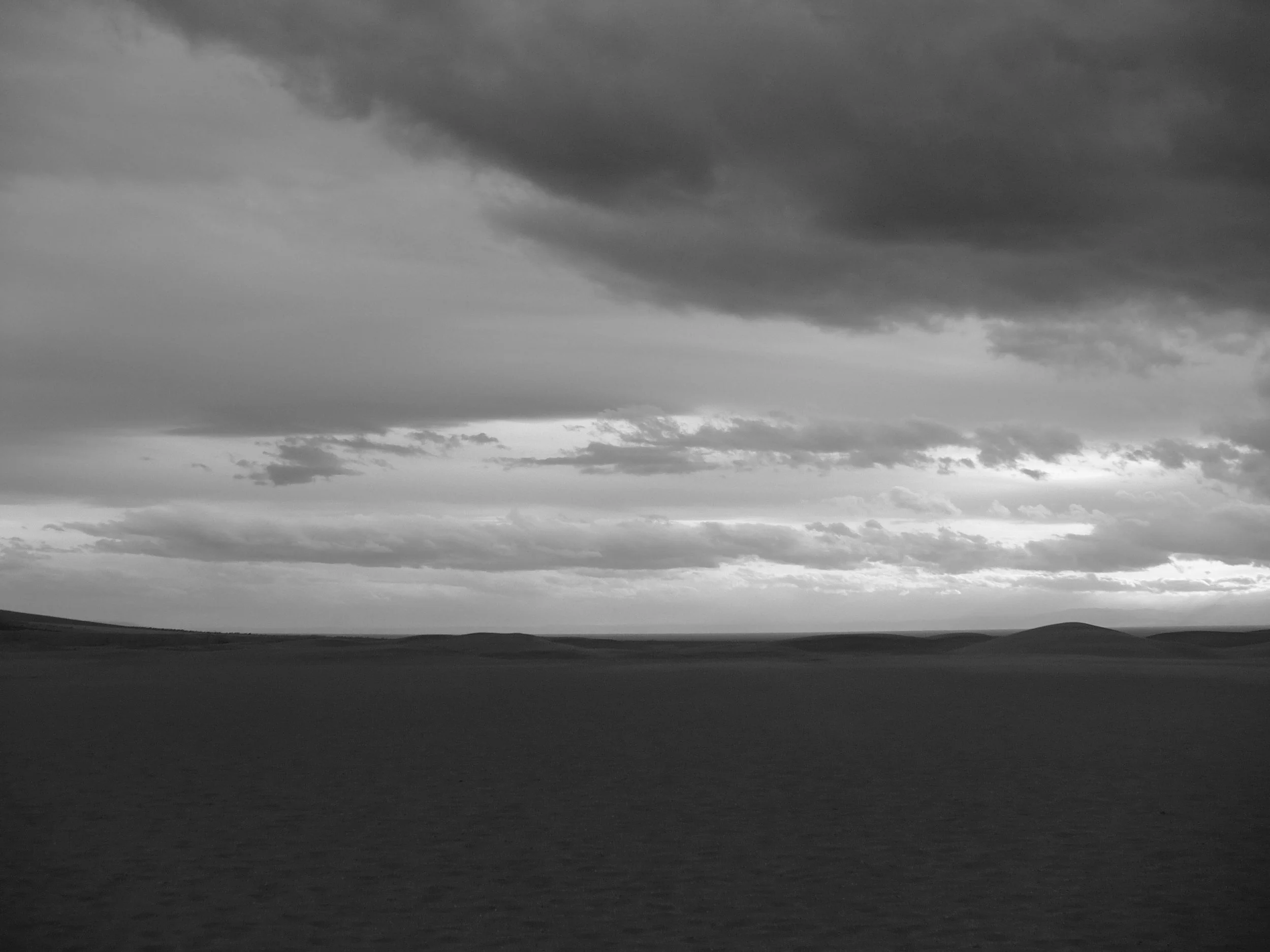 20260331-1010639.jpg