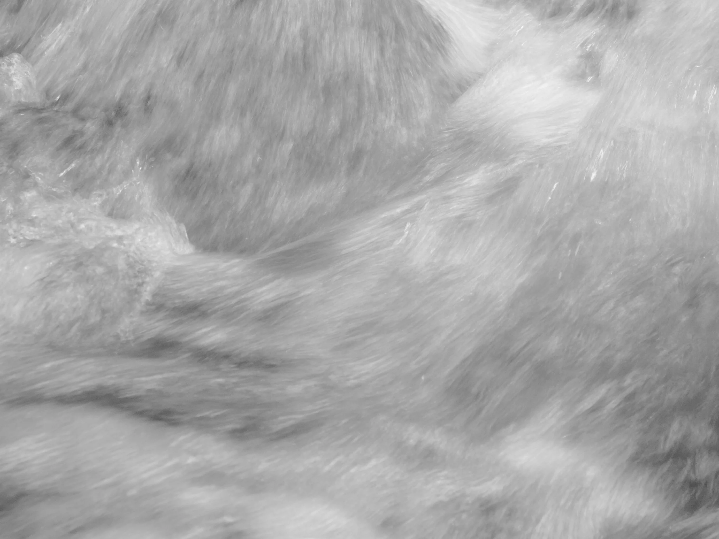 20260619-1010709.jpg